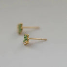 Cactus Cutie Stud Earrings - Golden Hour BoutiqueEarrings